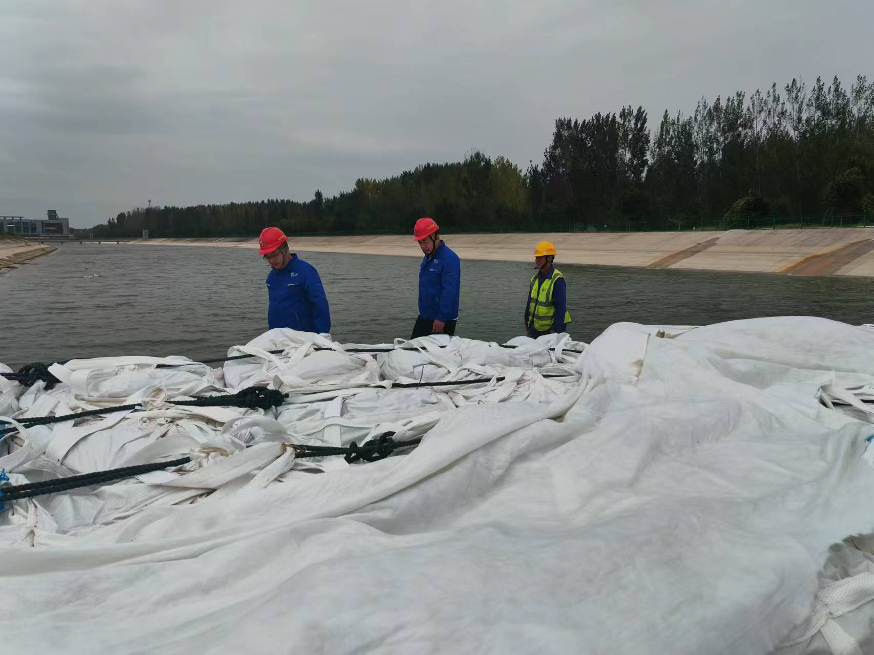 ͼƬ23.png ͼƬ23.png